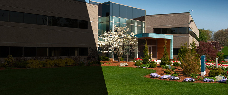 Thompson Landscapers