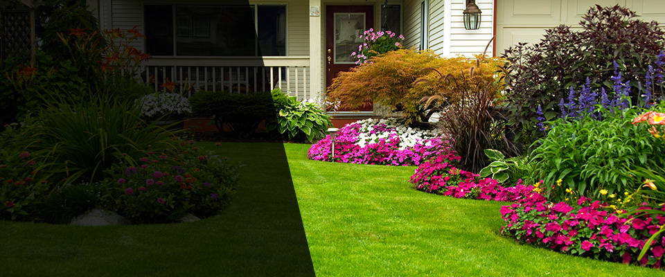 Thompson Landscapers