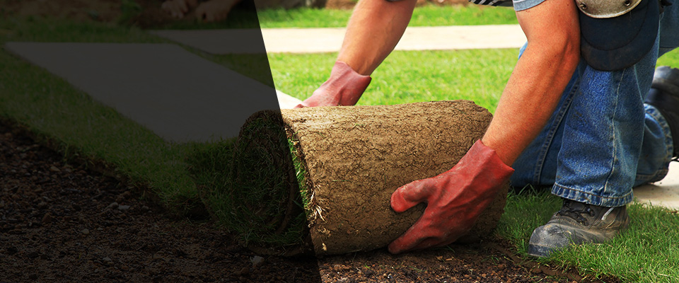 Thompson Landscapers